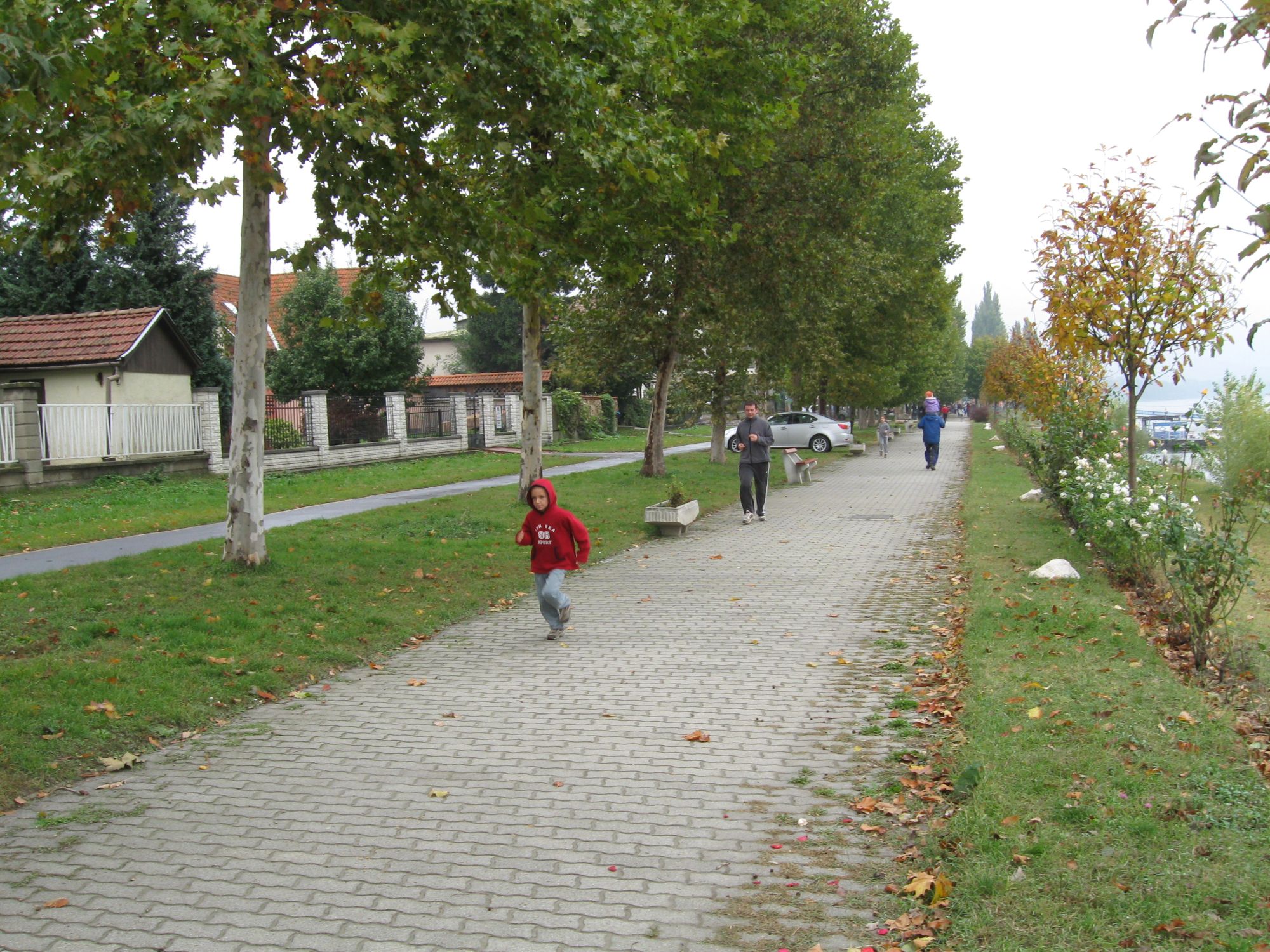 IMG_5781