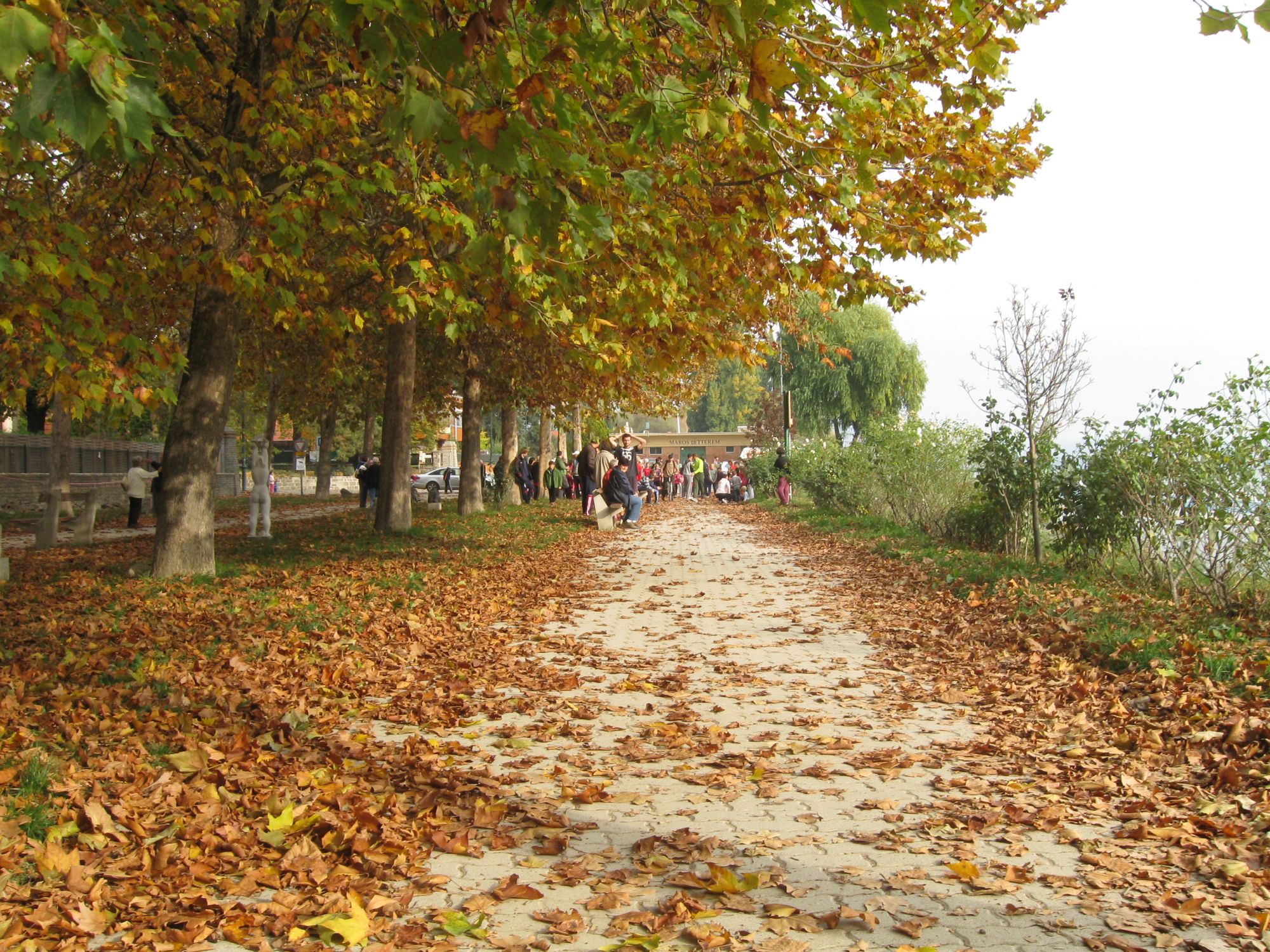 20131023_IMG_9745